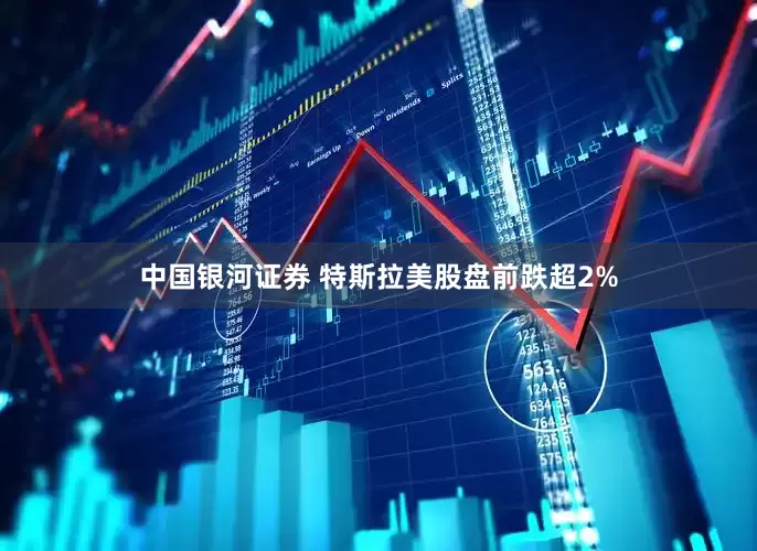 中国银河证券 特斯拉美股盘前跌超2%